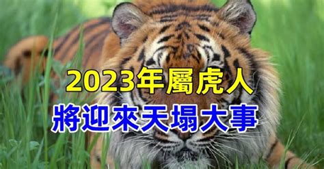 2023年屬虎